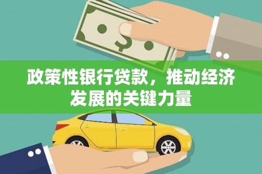 黔西南政策性银行贷款，推动经济发展的关键力量