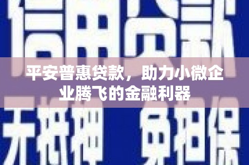 黔西南平安普惠贷款，助力小微企业腾飞的金融利器
