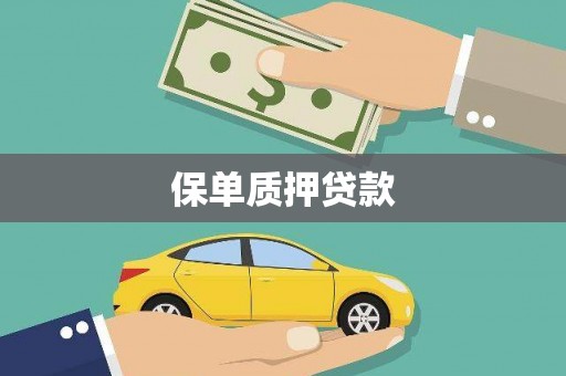 黔西南保单质押贷款