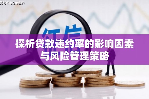 黔西南探析贷款违约率的影响因素与风险管理策略