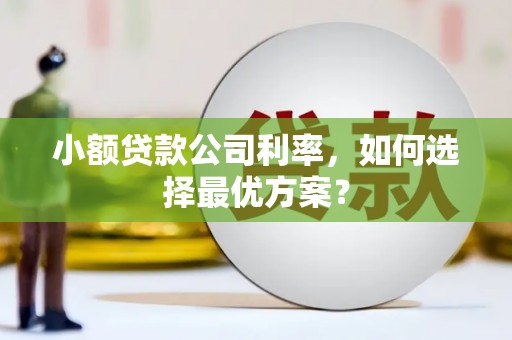 黔西南小额贷款公司利率，如何选择最优方案？