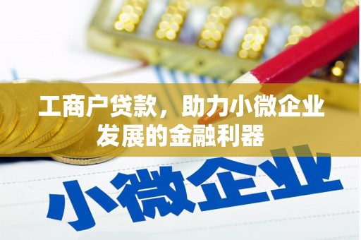 黔西南工商户贷款，助力小微企业发展的金融利器