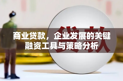 黔西南商业贷款，企业发展的关键融资工具与策略分析