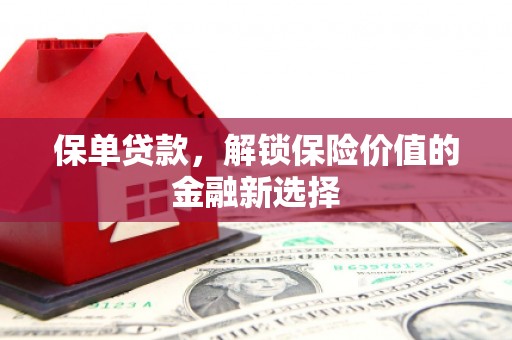 黔西南保单贷款，解锁保险价值的金融新选择