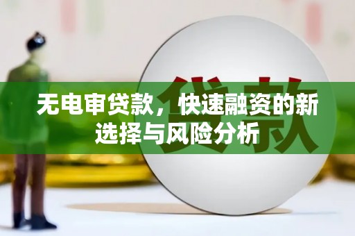 黔西南无电审贷款，快速融资的新选择与风险分析