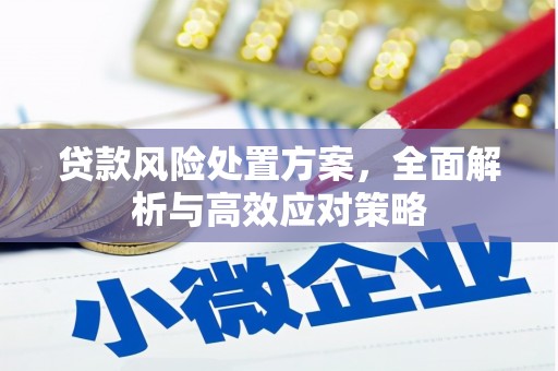 黔西南贷款风险处置方案，全面解析与高效应对策略