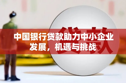 黔西南中国银行贷款助力中小企业发展，机遇与挑战