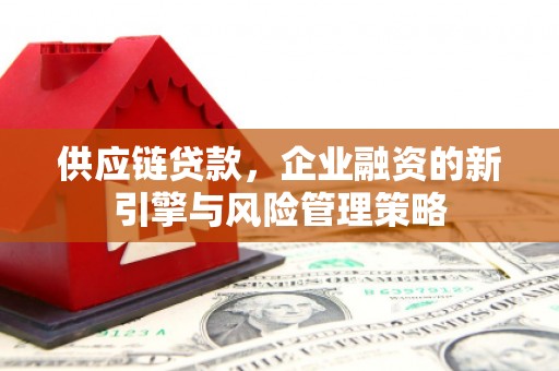 黔西南供应链贷款，企业融资的新引擎与风险管理策略