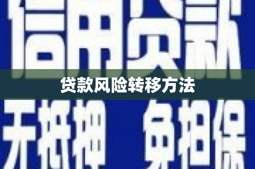 黔西南贷款风险转移方法