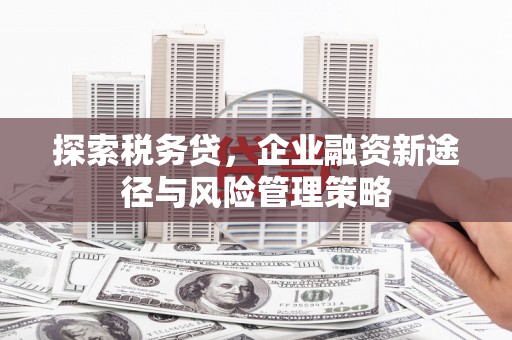 黔西南探索税务贷，企业融资新途径与风险管理策略