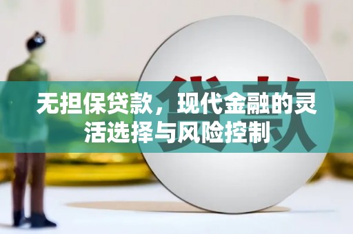 黔西南无担保贷款，现代金融的灵活选择与风险控制