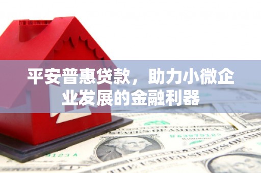 黔西南平安普惠贷款，助力小微企业发展的金融利器