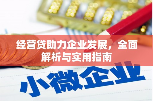 黔西南经营贷助力企业发展，全面解析与实用指南