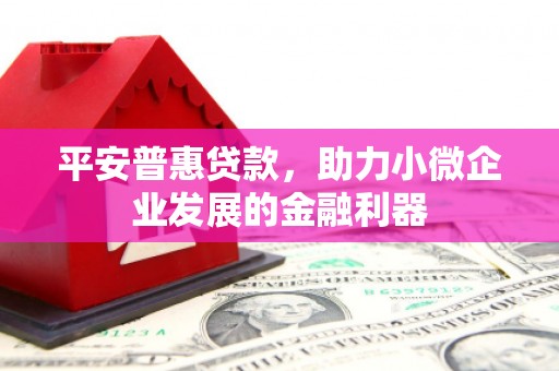 黔西南平安普惠贷款，助力小微企业发展的金融利器