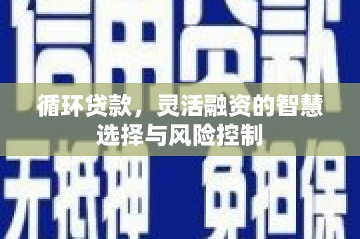 黔西南循环贷款，灵活融资的智慧选择与风险控制