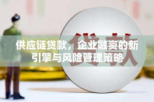 黔西南供应链贷款，企业融资的新引擎与风险管理策略