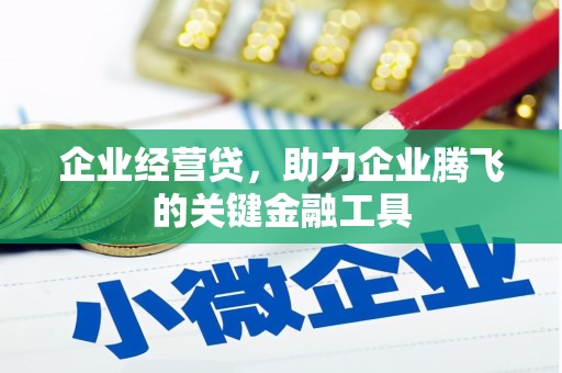 黔西南企业经营贷，助力企业腾飞的关键金融工具