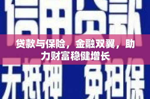 黔西南贷款与保险，金融双翼，助力财富稳健增长