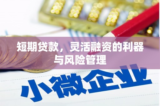 黔西南短期贷款，灵活融资的利器与风险管理
