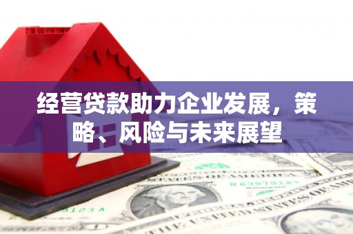 黔西南经营贷款助力企业发展，策略、风险与未来展望