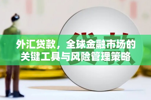 黔西南外汇贷款，全球金融市场的关键工具与风险管理策略