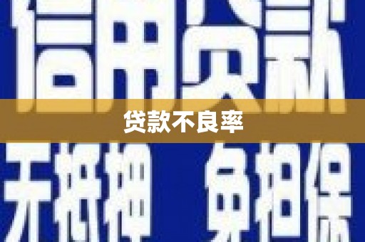 黔西南贷款不良率