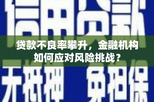 黔西南贷款不良率攀升，金融机构如何应对风险挑战？