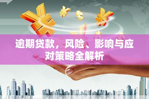 黔西南逾期贷款，风险、影响与应对策略全解析