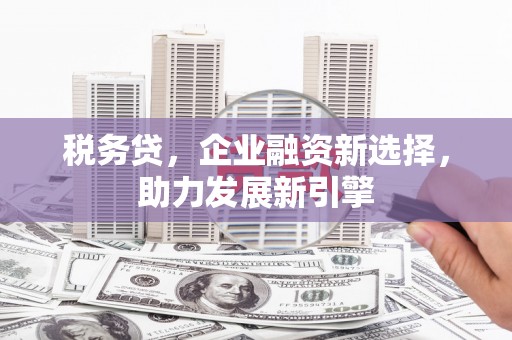 黔西南税务贷，企业融资新选择，助力发展新引擎