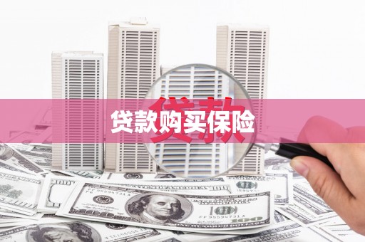 黔西南贷款购买保险
