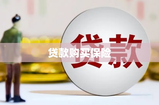 黔西南贷款购买保险