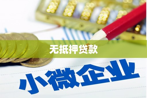 黔西南无抵押贷款