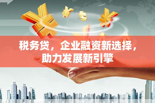 黔西南税务贷，企业融资新选择，助力发展新引擎