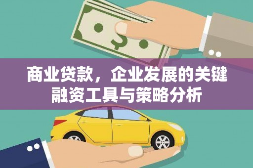 黔西南商业贷款，企业发展的关键融资工具与策略分析