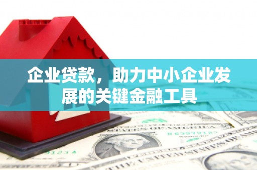 黔西南企业贷款，助力中小企业发展的关键金融工具
