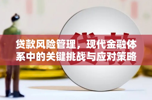 黔西南贷款风险管理，现代金融体系中的关键挑战与应对策略
