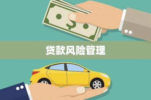 黔西南贷款风险管理