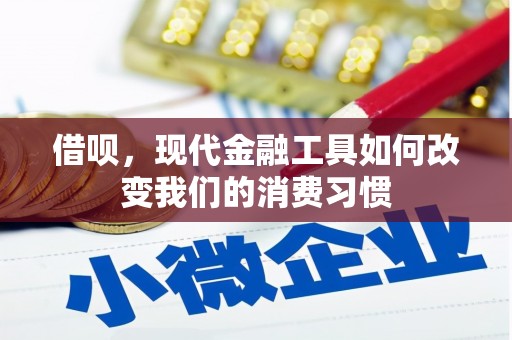 黔西南借呗，现代金融工具如何改变我们的消费习惯