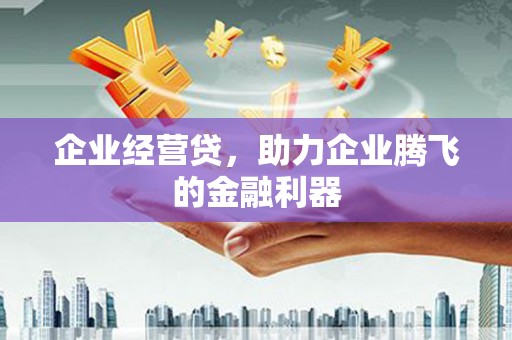 黔西南企业经营贷，助力企业腾飞的金融利器