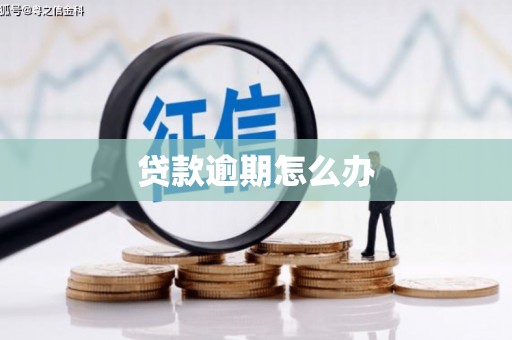 黔西南贷款逾期怎么办
