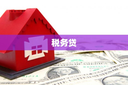 黔西南税务贷