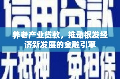黔西南养老产业贷款，推动银发经济新发展的金融引擎