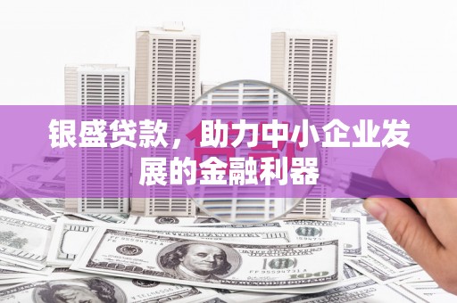 黔西南银盛贷款，助力中小企业发展的金融利器