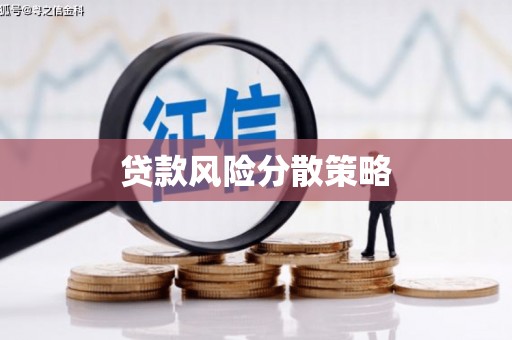 黔西南贷款风险分散策略