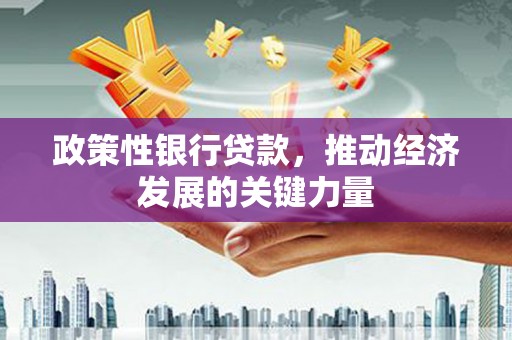 黔西南政策性银行贷款，推动经济发展的关键力量