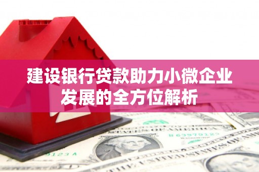 黔西南建设银行贷款助力小微企业发展的全方位解析