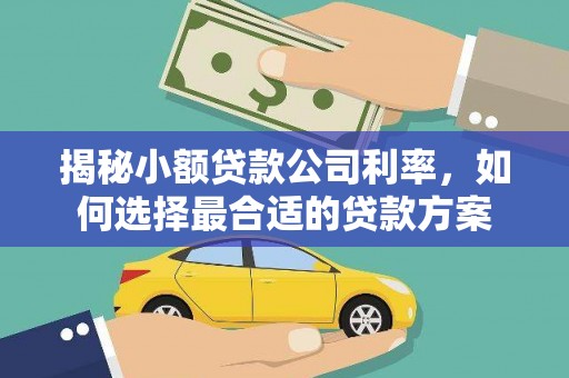 黔西南揭秘小额贷款公司利率，如何选择最合适的贷款方案