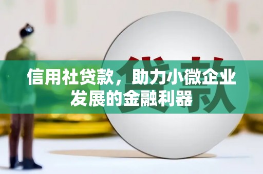 黔西南信用社贷款，助力小微企业发展的金融利器