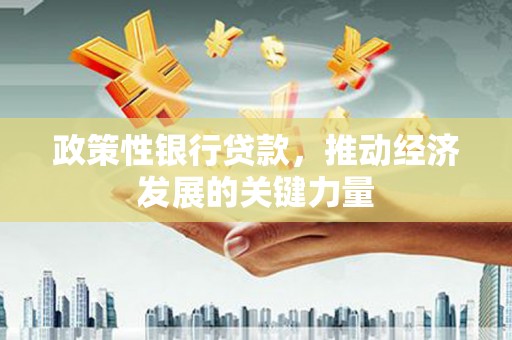 黔西南政策性银行贷款，推动经济发展的关键力量