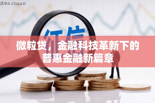 黔西南微粒贷，金融科技革新下的普惠金融新篇章